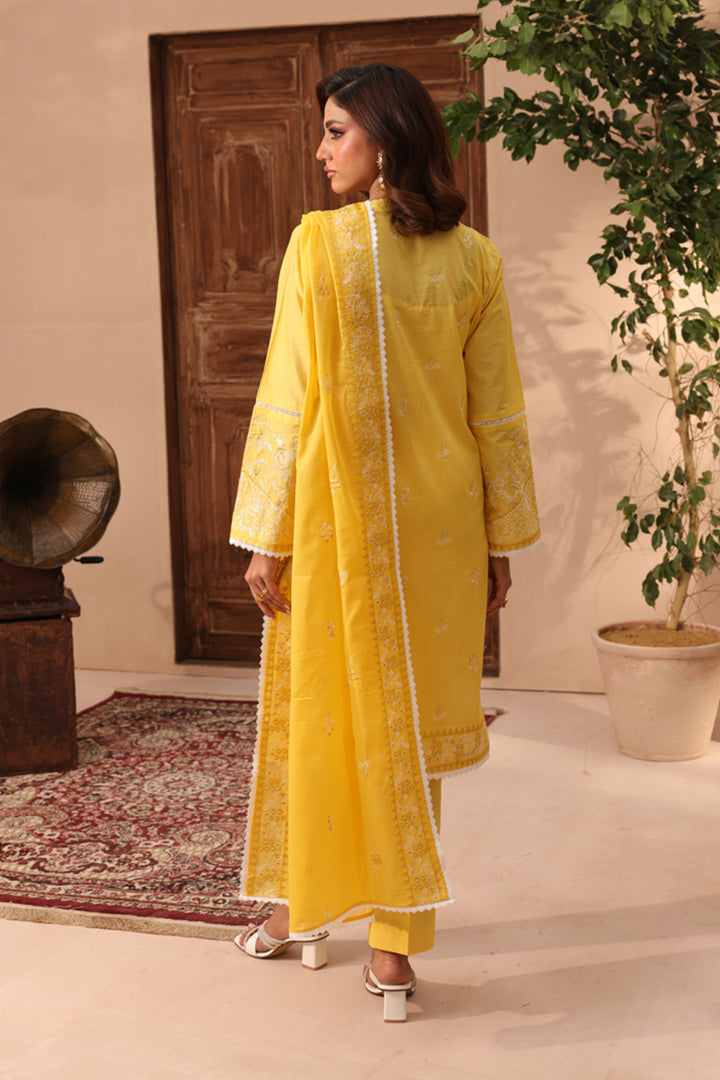 3 Pc Formal Suit - ZL25-C11-10
