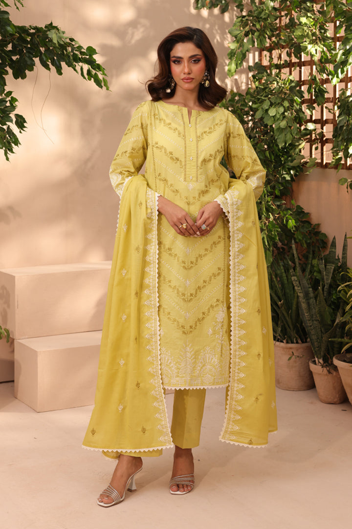 3 Pc Formal Suit - ZL25-C11-12